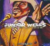 Paint the town blues | Junior Wells (1934-1998). Chanteur. Harmonica